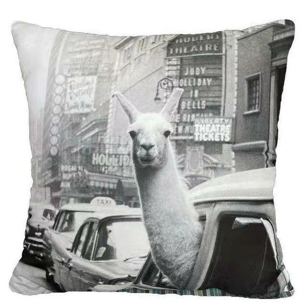 Cushion Cover Abstract Decorative Double-Sided Sofa Bed Throw PILLOW CASE 18x18"