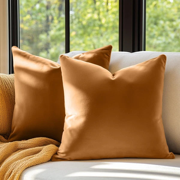 Brown Velvet Throw Pillow Covers 18 x 18 Decorative Pillowcases for Couch Bed...